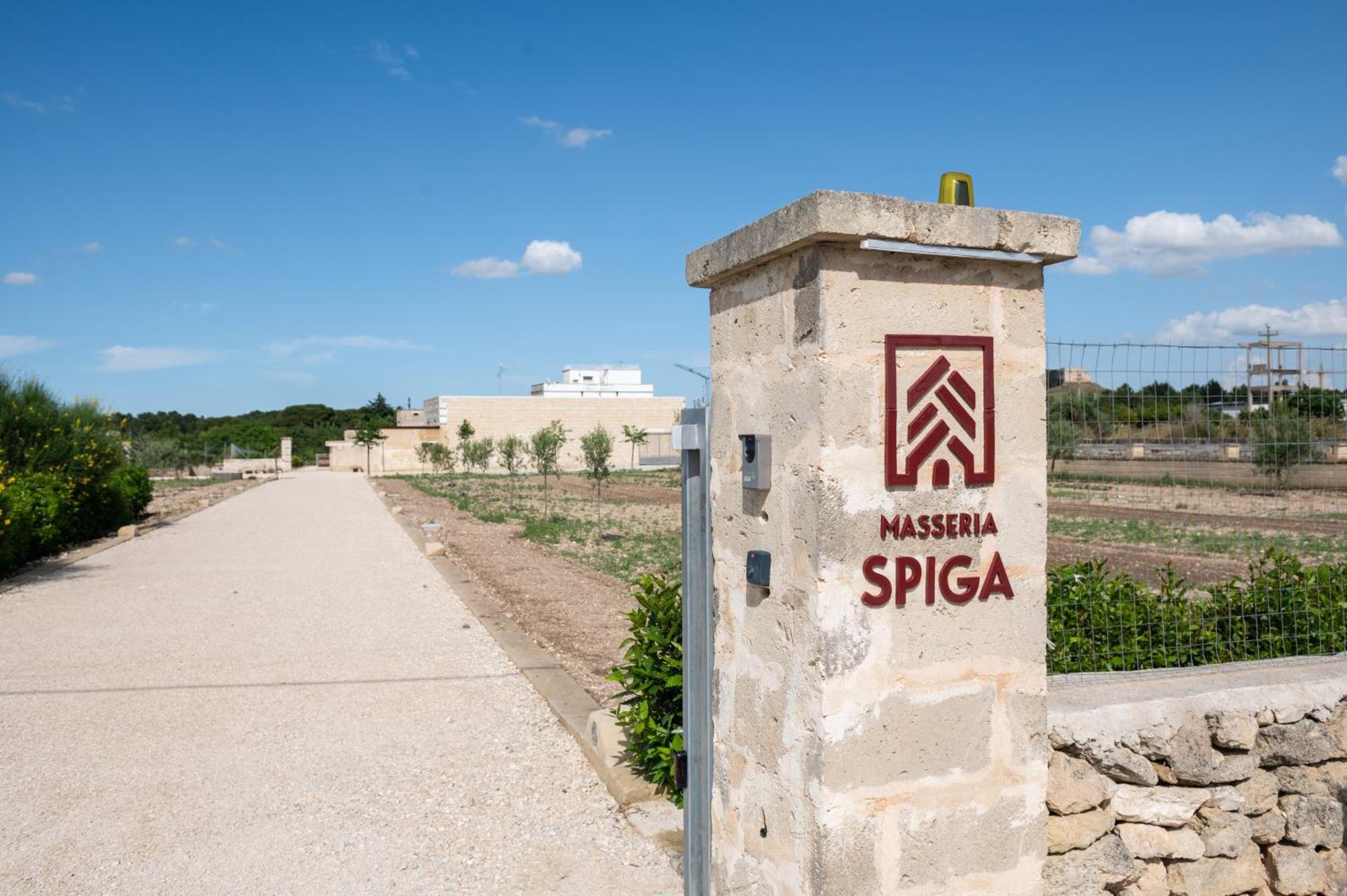 Masseria Spiga Gravina in Puglia Exterior foto