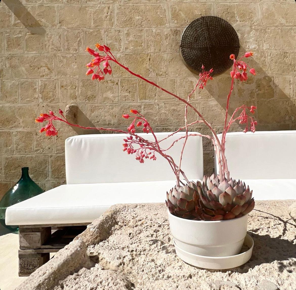 Masseria Spiga Gravina in Puglia Exterior foto