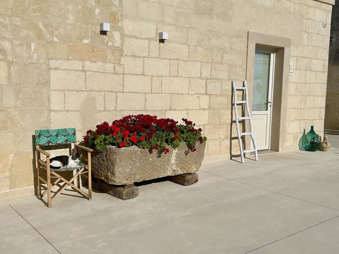 Masseria Spiga Gravina in Puglia Exterior foto