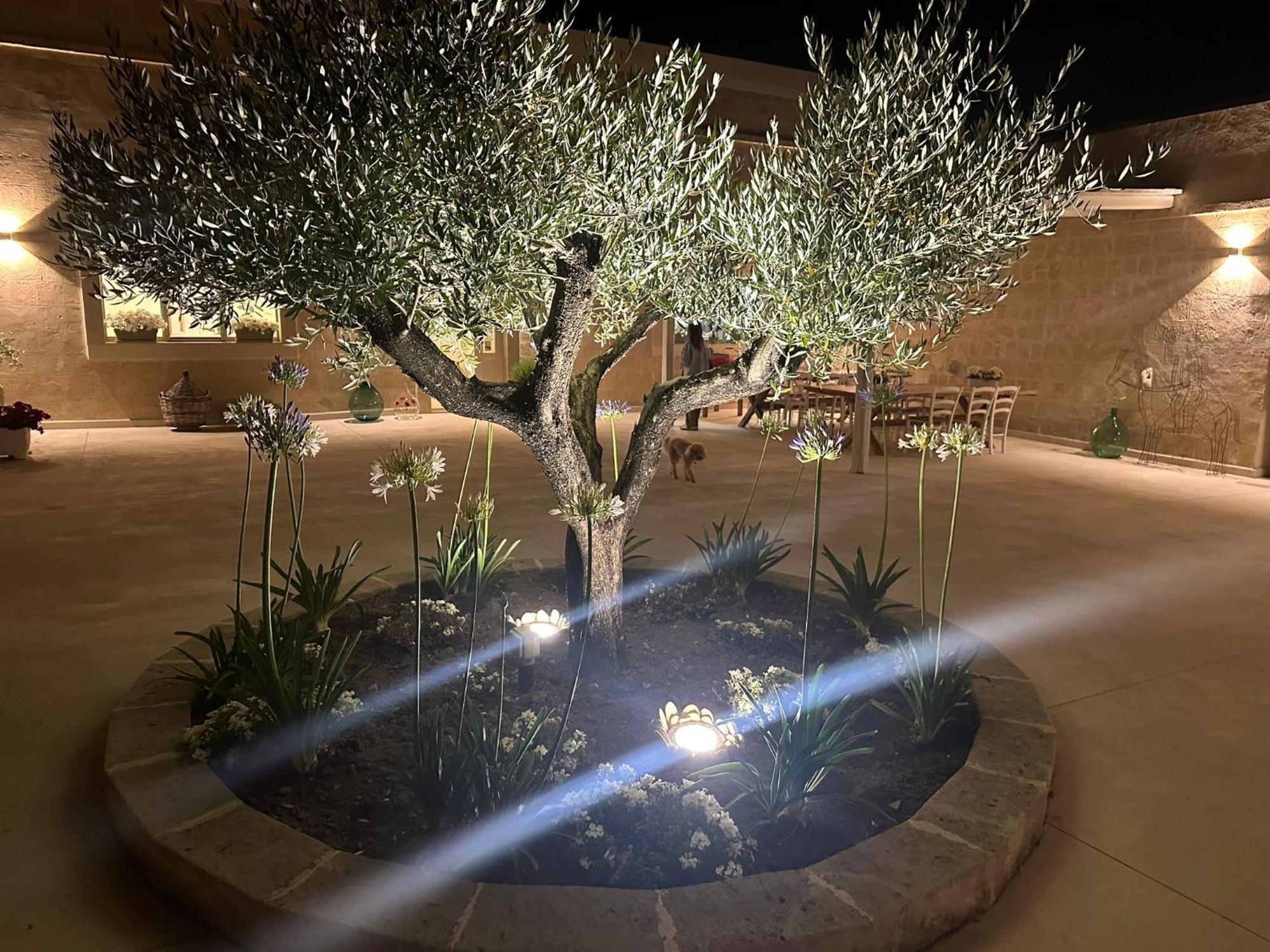 Masseria Spiga Gravina in Puglia Exterior foto