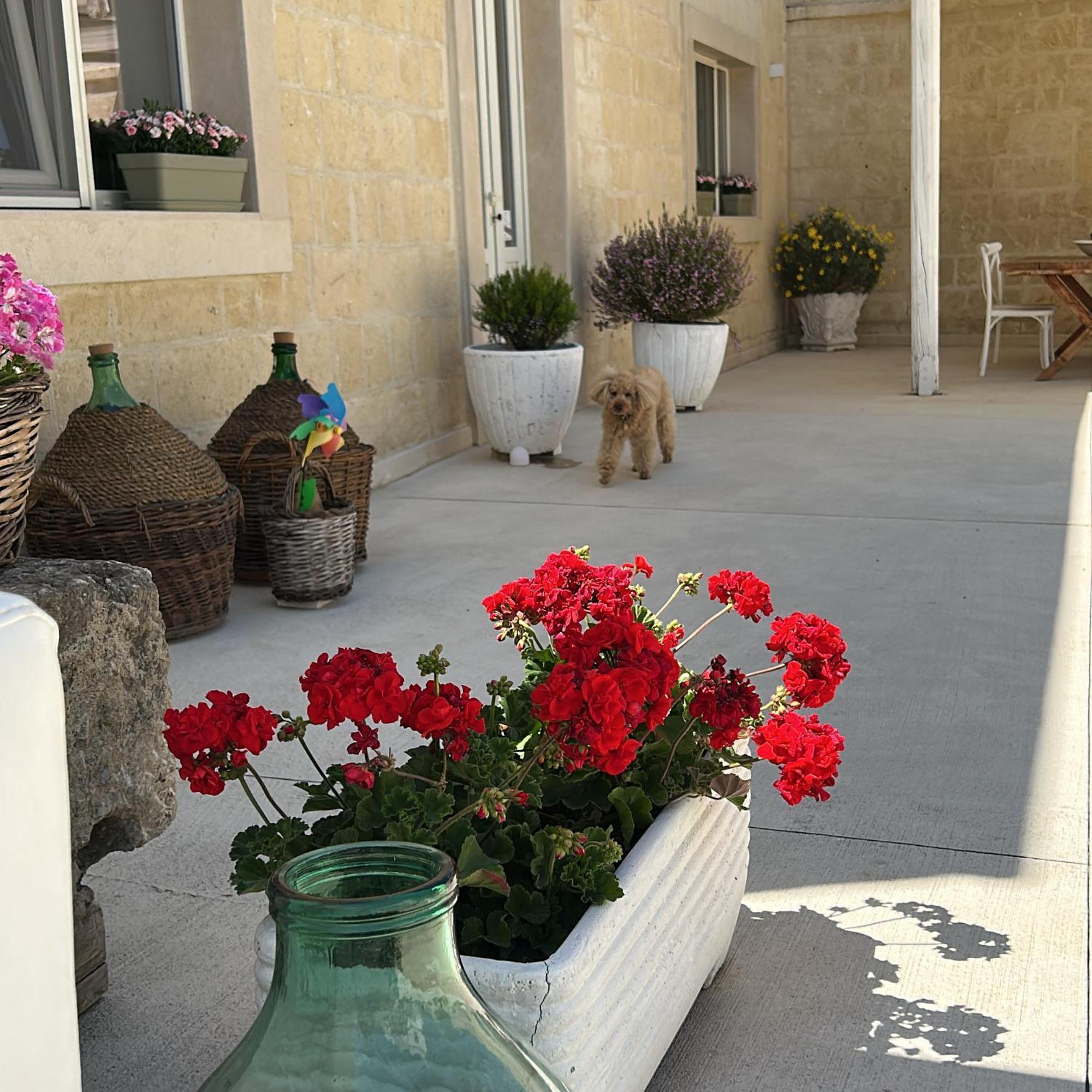 Masseria Spiga Gravina in Puglia Exterior foto